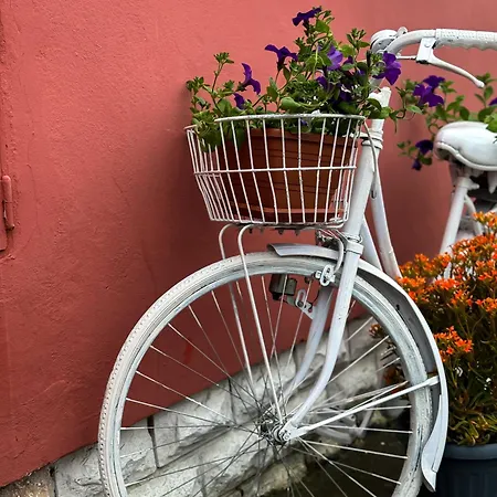 Vili Apartment Rovinj